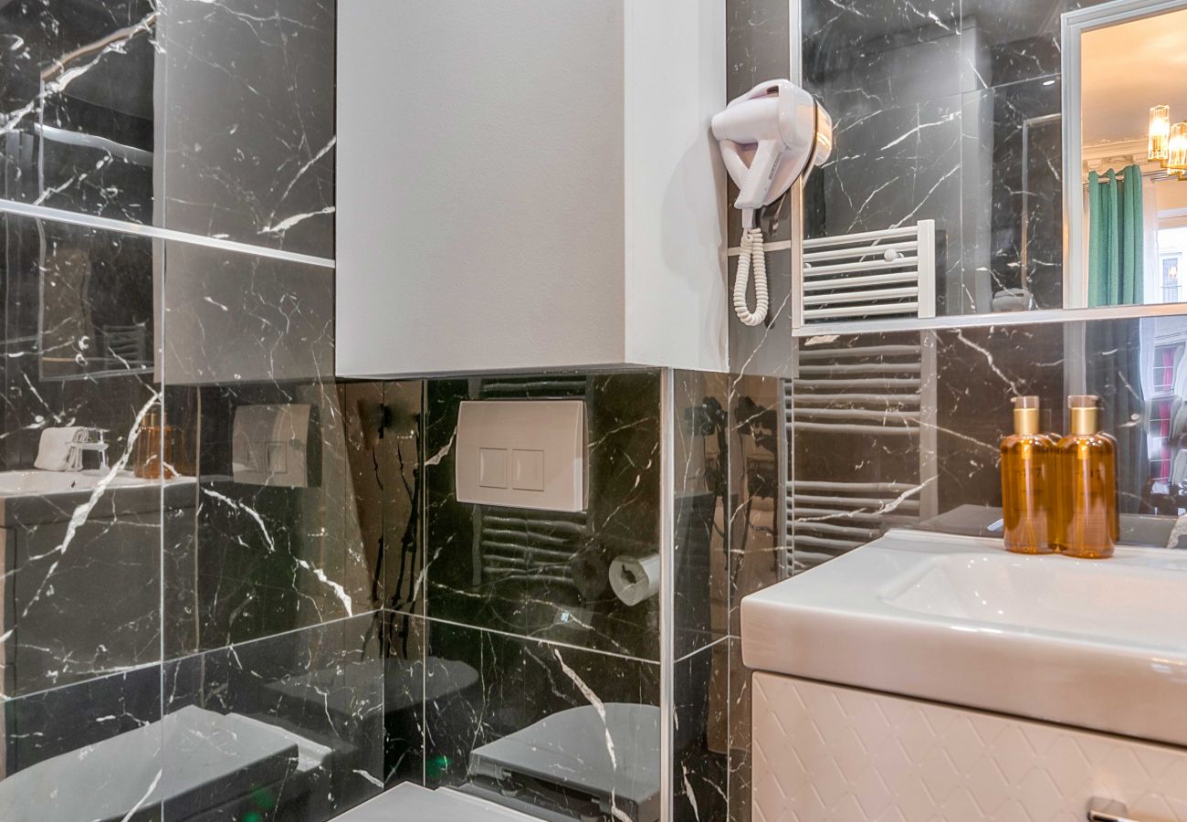 Apartamento en París - 107 A- 112 Richelieu 3D