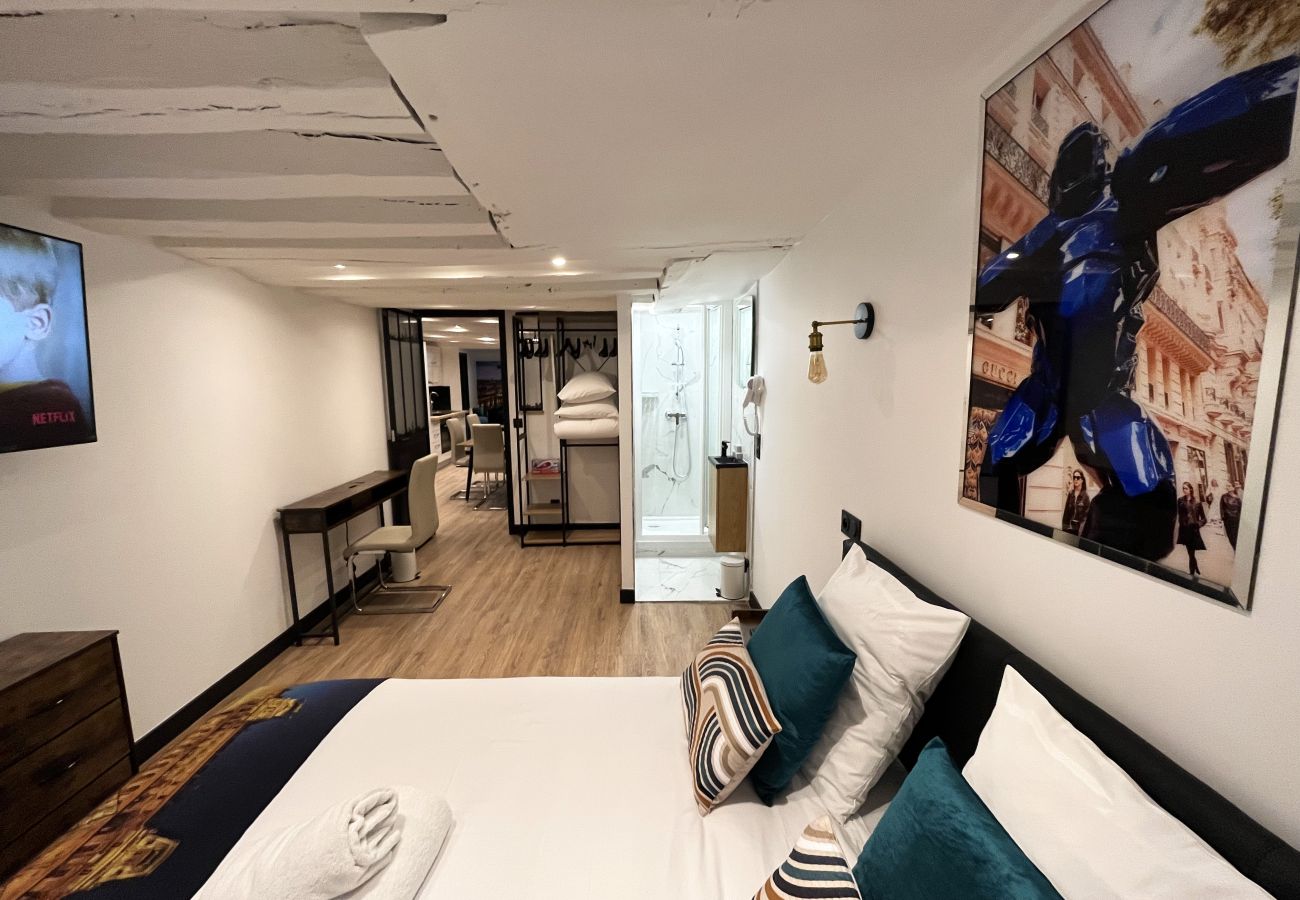 Apartamento em Paris - 175 - 218 Saint Denis grand